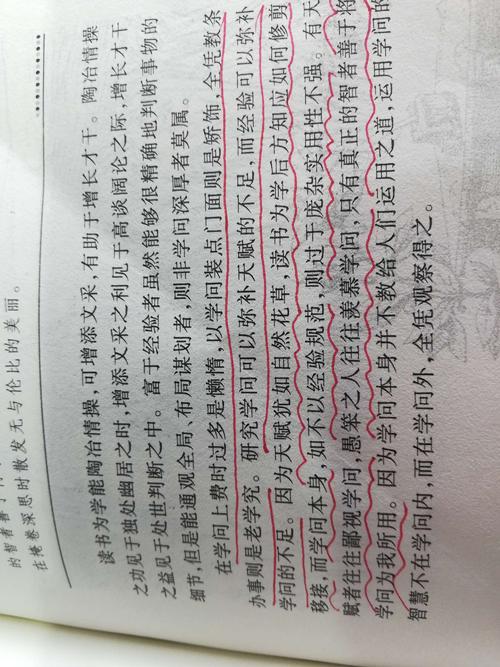 关于“培根散文”的思考