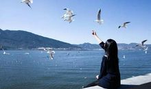 《共情力》读后感