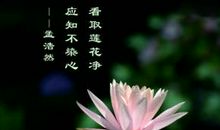 适合朗诵的现代诗歌