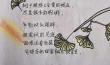 歌颂母亲的现代诗