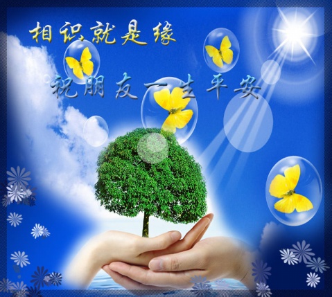 关于友谊的现代诗歌