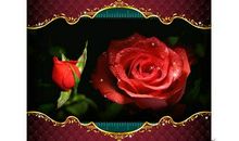 秦牧：缺陷者的鲜花