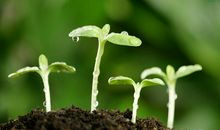 有关春天的句子大全