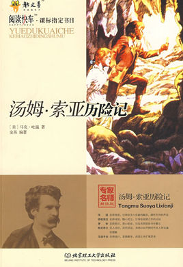 《汤姆·索亚历险记》的主要内容50字