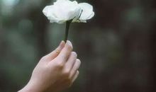 纪念逝者的句子