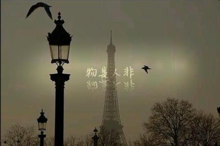 关于事物的句子