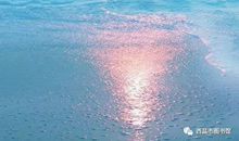 汪国真：祝你好运