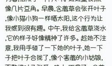 可爱的含羞草作文