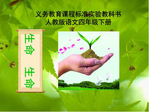 杏林子：一生一世