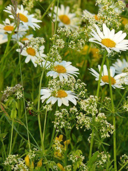 罗素·贝克报价