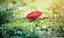 人生感悟：你幸福吗？