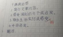 《从岩缝里长出来的小草》读后感