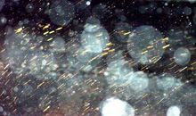 描写雪中景物的句子