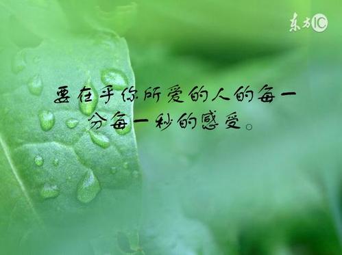 描述婚姻生活的句子