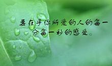 描写婚姻生活的句子