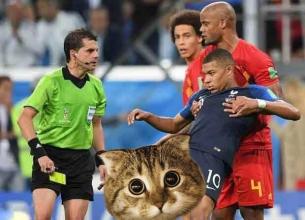 你可以输，但你必须输得很漂亮