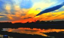 描写初夏黄昏的句子