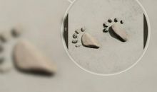 经典语录：最好的时光，是回不去的时光