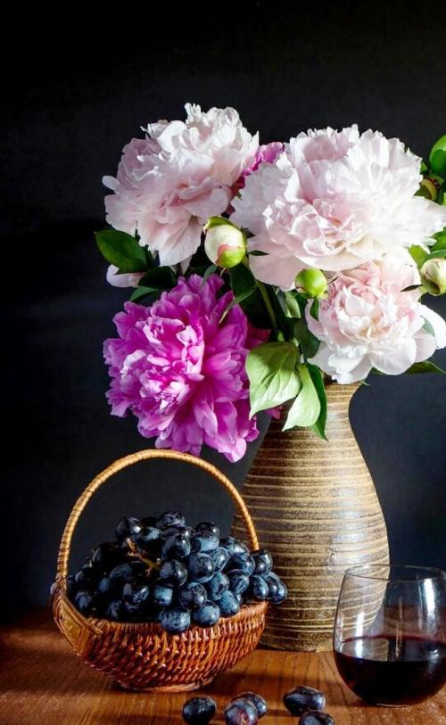 对中年人的16种生活观念