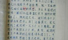 老人与海鸥读后感500字