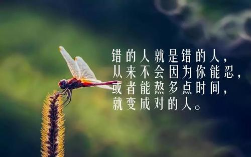 2019年最深刻的人生见解经典语录，每一句话都是真理！