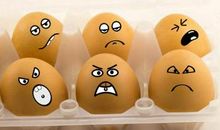 描写鸡蛋的句子