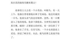 根鸟读后感600字