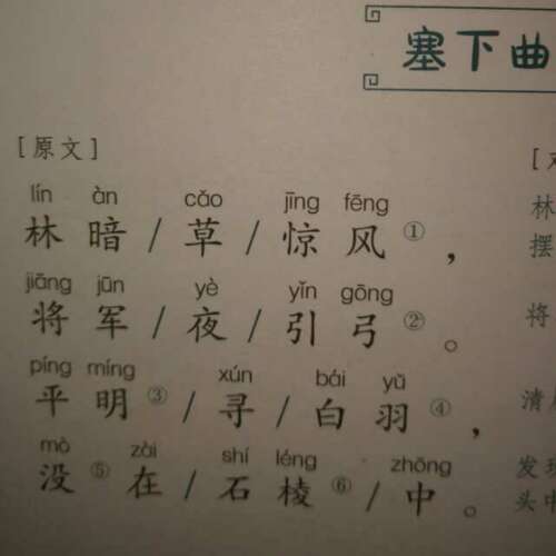 露伦：森林中的下一首歌