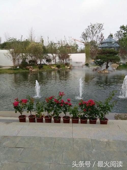 句子中的甜言蜜语