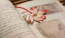 能打开任何人心结的20句话