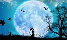 有关月亮的优美语段