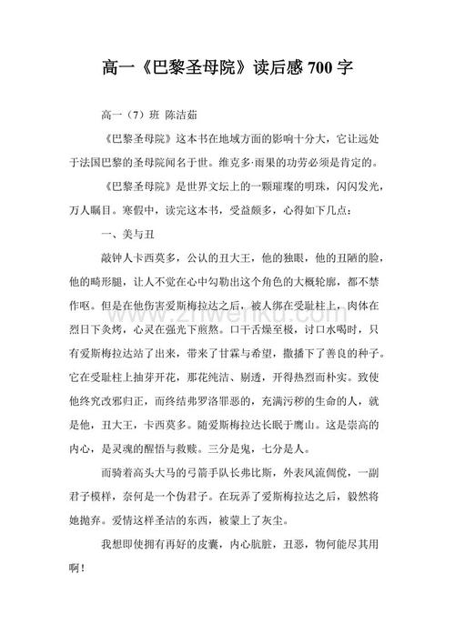 阅读巴黎圣母院后的1000个单词