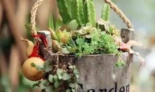 林清玄：让开心成为一种习惯