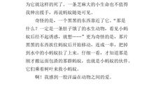 有趣的蚂蚁作文