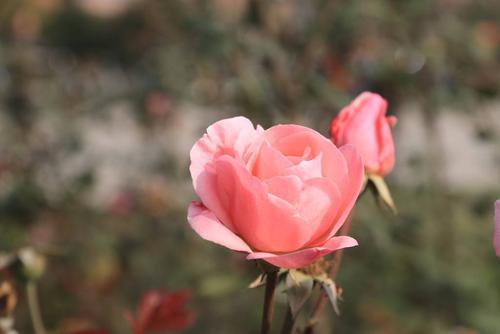 可能时间晴朗，你可能会晴天