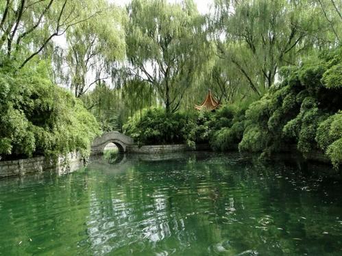 李存宝：老龙湾在我眼中