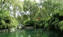 李存葆：我眼中的老龙湾