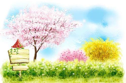 关于健康的美丽句子