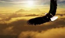 励志故事：勇于翱翔，才能翱翔