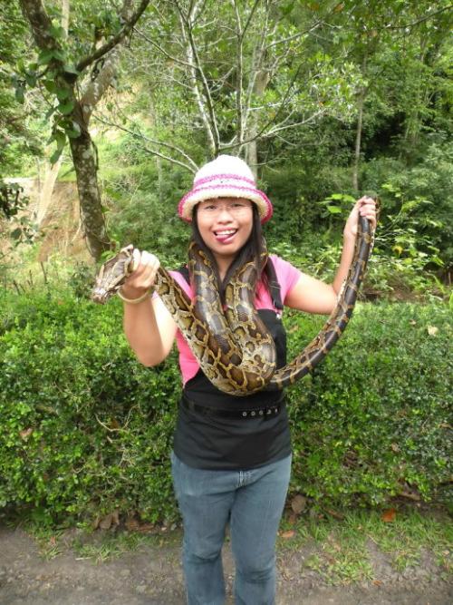 李存葆：最后的野象谷