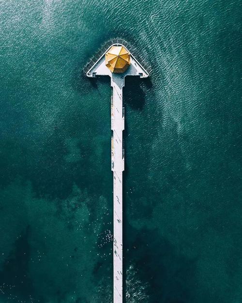 苏学林：青岛的树木