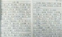 成长需要挫折作文600字
