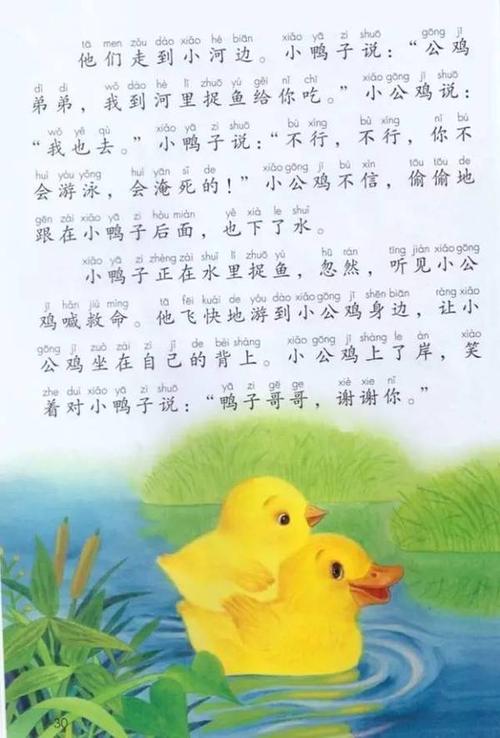 四年级组成：公鸡