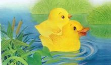 四年级作文：公鸡