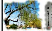 二月春风似剪刀全诗