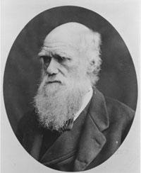 查尔斯·达尔文行情