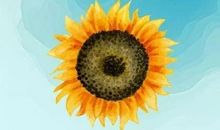 描写美好未来的句子