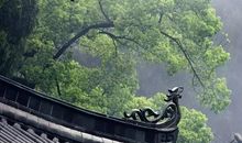 智者的四句箴言