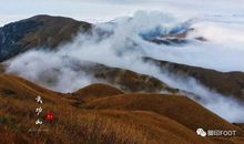 王统照：又一度听见秋虫