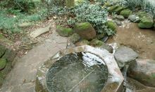 四年级作文：青城山的水